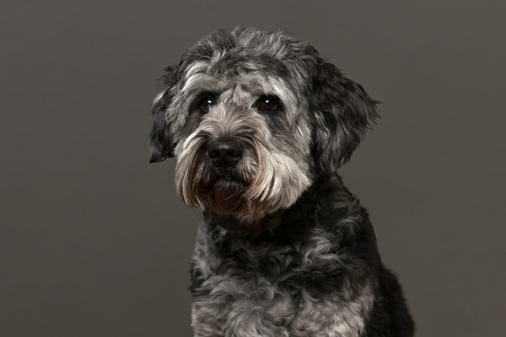 Alf